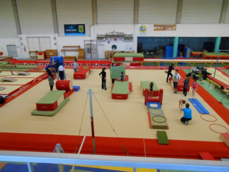 Stage de détection à Chartres de Bretagne le 3 et 4 mars 2014 organisé par ffgym 35 